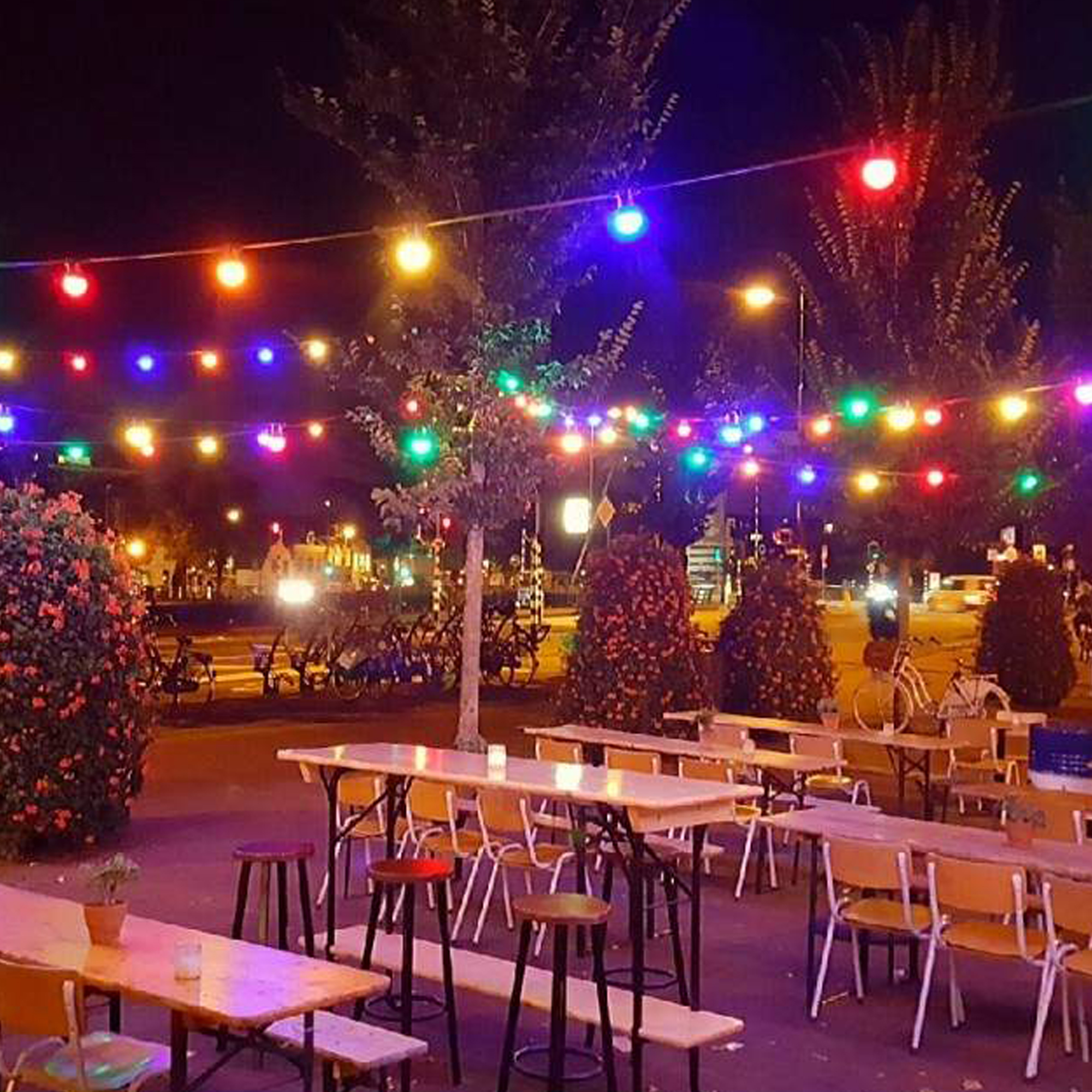 Patio Lichtsnoer Kleur 30m met 36 LED