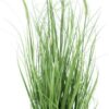 Pennisetum grass in pot green 100cm
