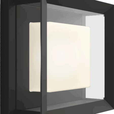 Philips Hue Econic muurlamp White and Color Zwart modern
