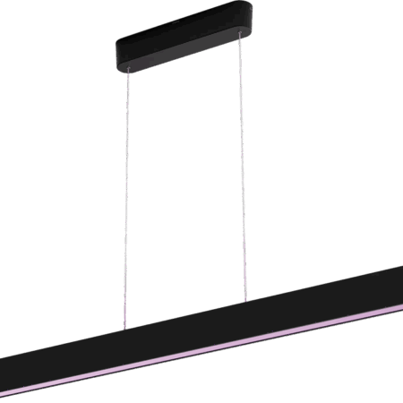 Philips Hue Ensis hanglamp White & Color Zwart