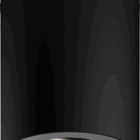 Philips Hue Pillar Opbouwspot White Ambiance - Zwart - 1-spots