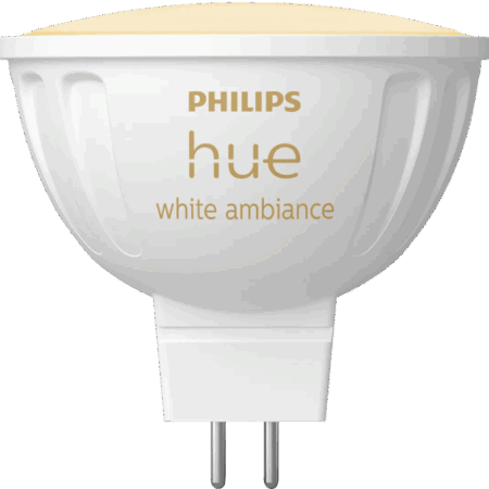Philips Hue spot White Ambiance - MR16 - 2-pack