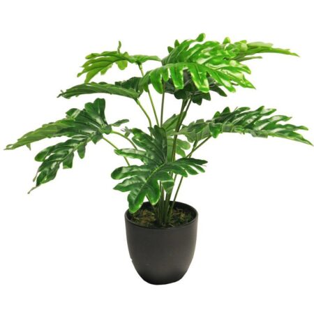 Philodendron zonneschijn in potgroen 46cm