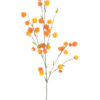 Physalis spray orange 110cm