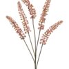 Phytolacca roze 93cm