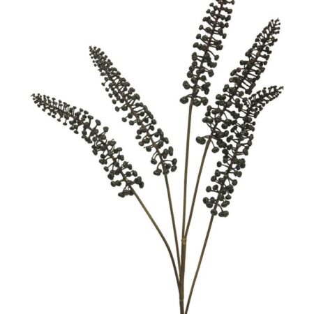 Phytolacca zwart 93cm