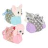 Pluchiez Pluche Hond/poes In Tasje | Pluchiez