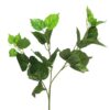 Polystichum varen groen 46cm