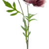 Poppy spray newwave beauty 82cm
