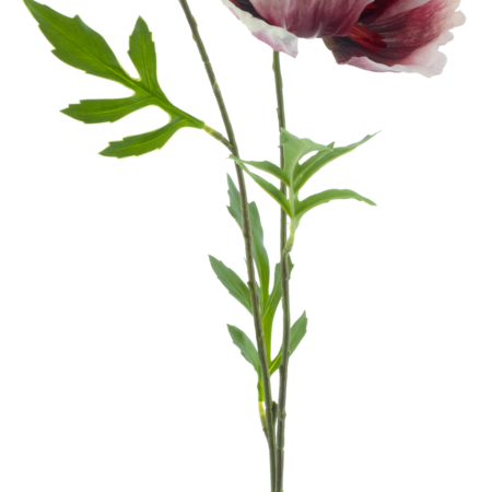Poppy spray newwave beauty 82cm