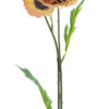 Poppy spray newwave peach 82cm