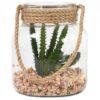 Pot succulente Sable