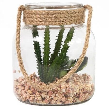 Pot succulente Sable