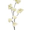 Prunus malaga spray wit 84cm