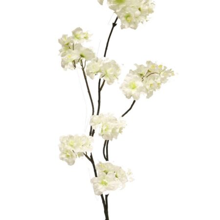 Prunus malaga spray wit 84cm