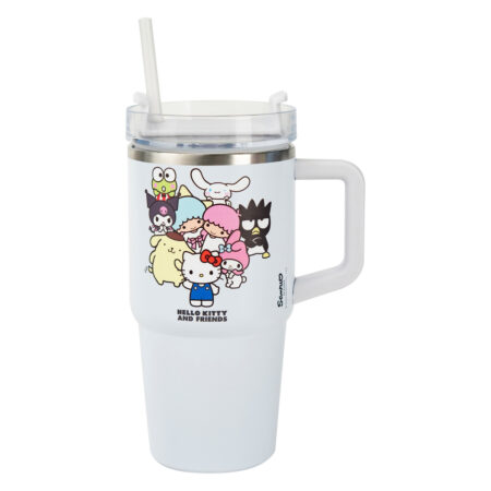 RVS drinkfles 590 ml (Hello Kitty)