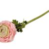 Ranonkel 52cm Magnum rose