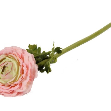 Ranonkel 52cm Magnum rose