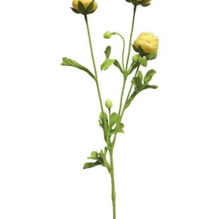 Ranuncules mini yellow 68cm