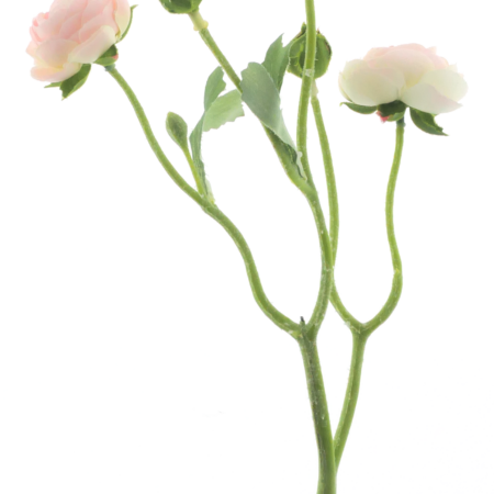 RanunculusAzura pink/cream 48cm