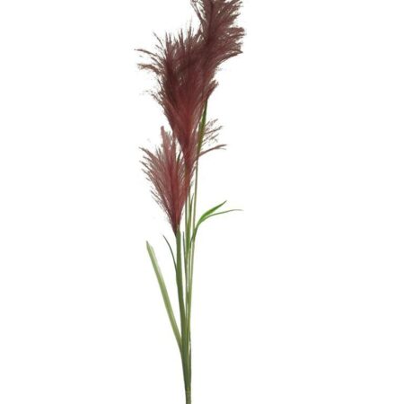 Reed grass spray red 145cm