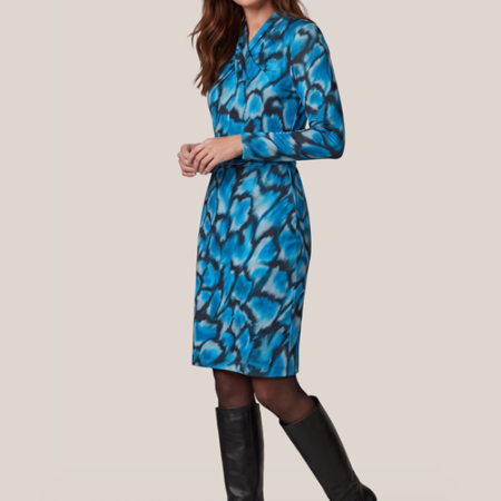 Robin Print Jurk Blauw / Multi