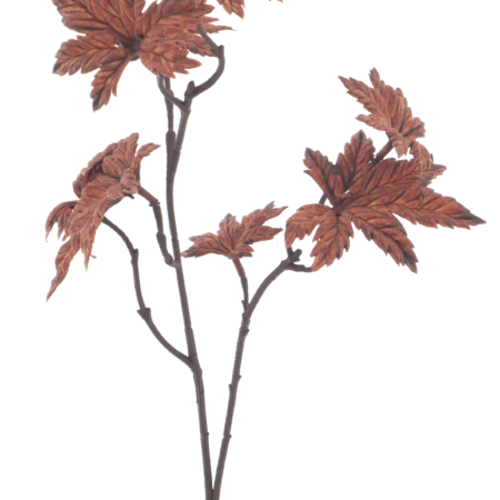 Rock maple spray copper 68cm