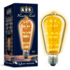 Rustic LED 1