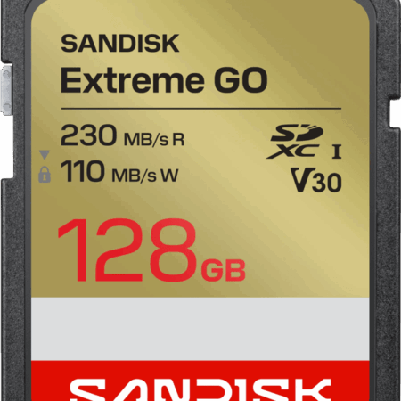 SANDISK Extreme GO SDXC 128GB 110MB/s