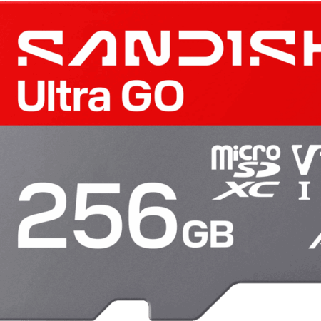 SANDISK Ultra GO microSDXC 256GB