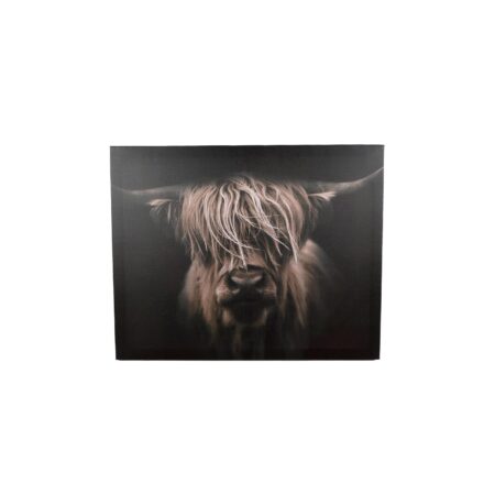 Schilderij Hooglander canvas 40x50cm | Merkloos