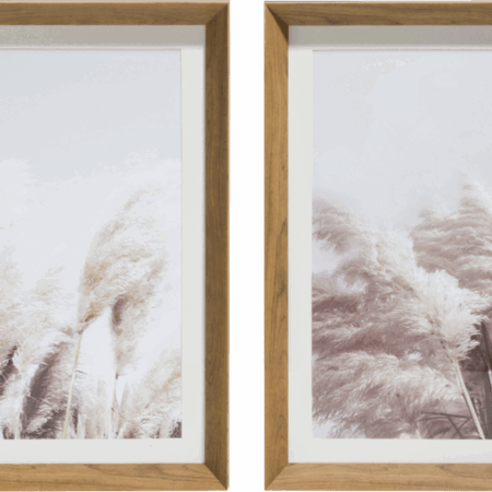 Schilderij Pampas set van 2