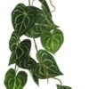 Scindapsus alba garland green 109cm