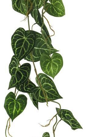 Scindapsus alba garland green 109cm