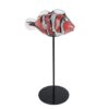 Sculptuur Fish o/standaard oranje/wit glas