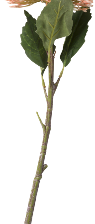 Sedum branch 43cm