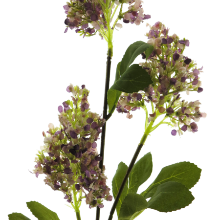 Seringa spray purple 78cm