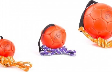 Show Training Ball 170 Mm