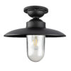 Solingen Plafondlamp Matzwart