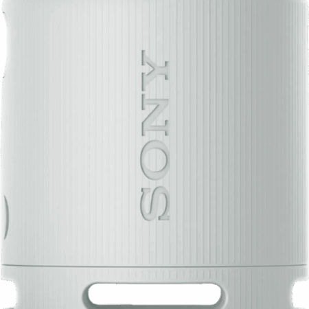 Sony SRS-XB100 Grijs