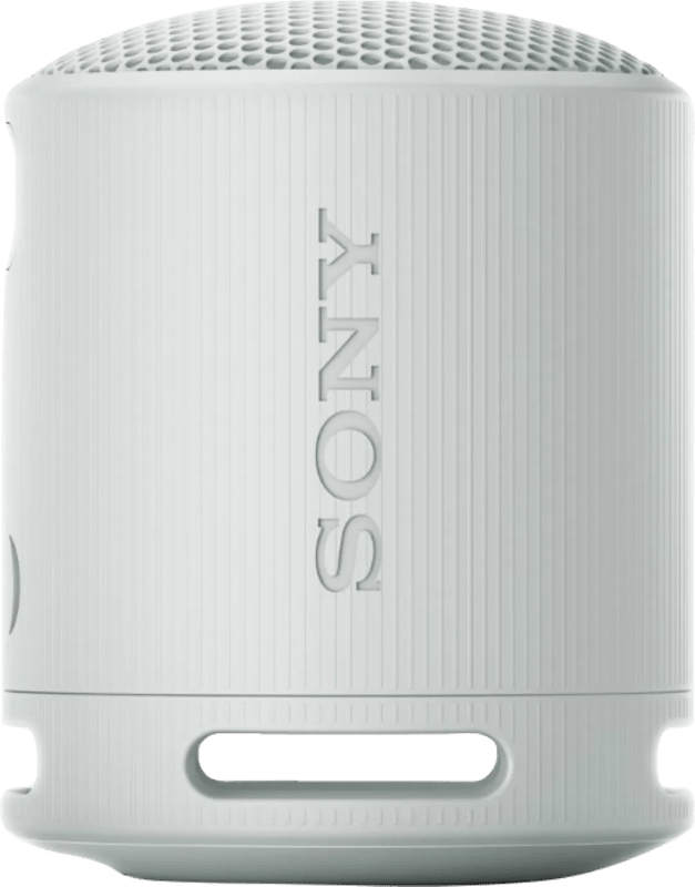 Sony SRS-XB100 Grijs