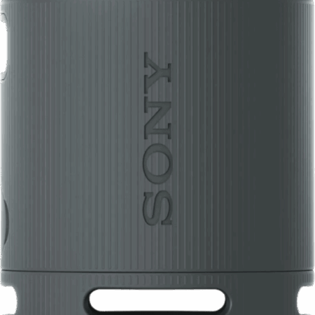 Sony SRS-XB100 Zwart