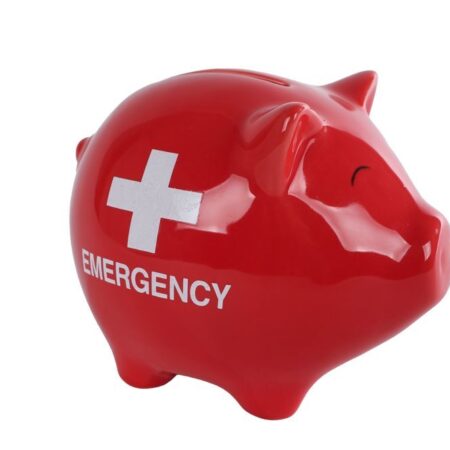 Spaarpot Pig Emergency rood aardew 11