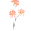 Spider flower spray peach 94cm