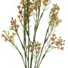 Star gypso spray peach 72cm