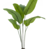 Strelitzia Malibu in pot green 130cm