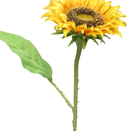 Sunflower Tuscany yellow small 42cm