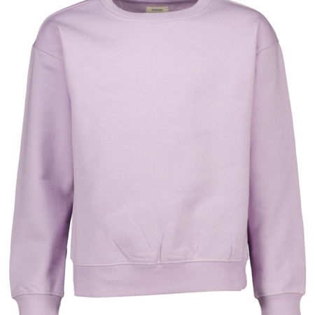 Sweater - Paars | Zeeman
