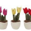Take Me Home plant pluche tulp L 3ass 27 cm
