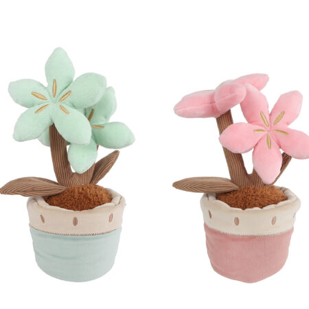 Take me home plant met 2 bloemen L pluche 2ass 24cm